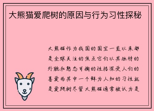 大熊猫爱爬树的原因与行为习性探秘